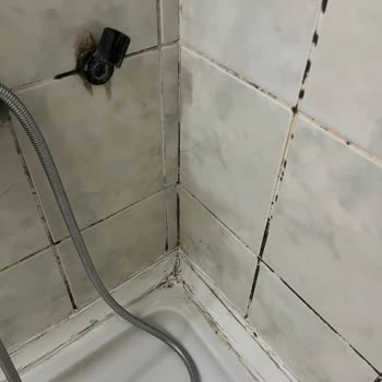 Antalya Kemer Beldibi'de Nex Royal Beach Hotel'de Hijyen Ve Söz Verilen Hizmetlerin Eksikliği