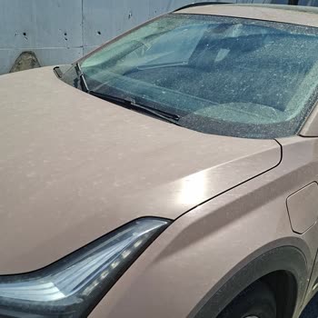 Rentlee'de Silecek Suyu Olmadan Teslim Edilen Araç İçin Telafi Talebi