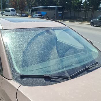 Rentlee'de Silecek Suyu Olmadan Teslim Edilen Araç İçin Telafi Talebi