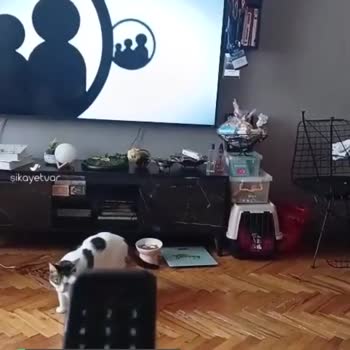 Vestel TV Kendi Kendine Kanal Değiştiriyor!