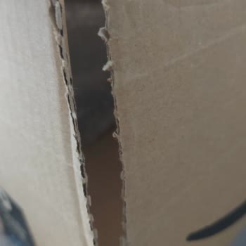 Kolay Gelsin Kargo Firmasının Tekrarlanan Ürün Hasarları Ve Denetim Eksikliği