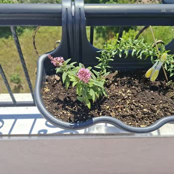 Fidan Kenti İlandaki Gibi Farklı Renklerde Bir Set Gönderilmedi