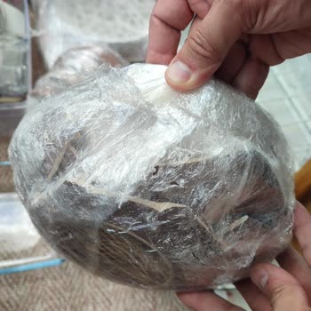 Sürat Kargo’da Özensiz Taşıma Sonucu Mutfak Eşyaları Kırıldı Ve Halılar Eksik