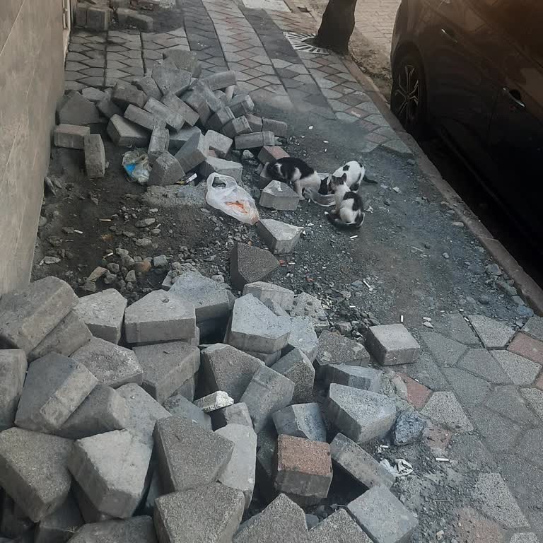 İSKİ’nin Tamir Sonrası Kaldırım Düzenlenmemesi Mağduriyet Oluşturuyor