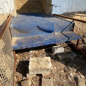 Kan Lekeli Yatak, Böcekli Oda Ve Güvensiz Plaj: Tatilbudur'dan Tam İade Talebi