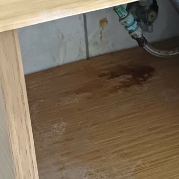 Kan Lekeli Yatak, Böcekli Oda Ve Güvensiz Plaj: Tatilbudur'dan Tam İade Talebi