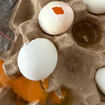 Kırık Ve Kötü Kokulu Yumurta İçin İade Talebi Ve Müşteri Hizmetlerine Duyarsızlık