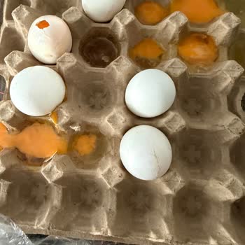 Kırık Ve Kötü Kokulu Yumurta İçin İade Talebi Ve Müşteri Hizmetlerine Duyarsızlık