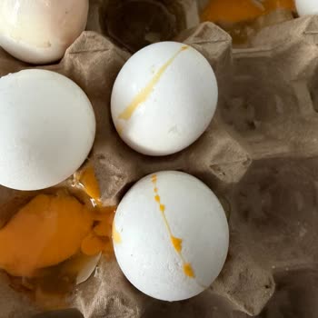 Kırık Ve Kötü Kokulu Yumurta İçin İade Talebi Ve Müşteri Hizmetlerine Duyarsızlık
