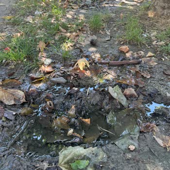 Hacı Bektaşı Veli Parkı Temizlenmediği İçin Çocuklar Mağdur