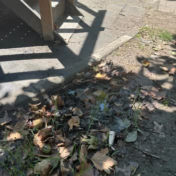 Hacı Bektaşı Veli Parkı Temizlenmediği İçin Çocuklar Mağdur