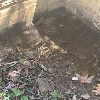 Hacı Bektaşı Veli Parkı Temizlenmediği İçin Çocuklar Mağdur