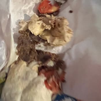 Bozuk Döner İçin Reddedilen İade Ve Tam Geri Ödeme Talebi