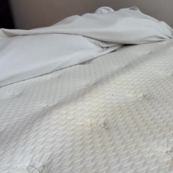 Kısa Sürede Çöken Yatak, Yırtık Baza Ve Kaba Servis Tutumu