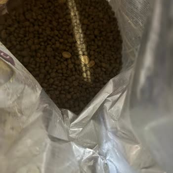 Kedi Maması İçinde Köpek Yemi Parçaları Ve Cevapsız Destek