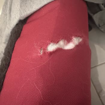 Dubex Pet Shop Kalitesiyle İlgili Ciddi Soru İşareti Oluşturdu