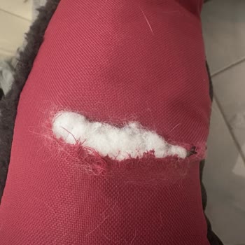 Dubex Pet Shop Kalitesiyle İlgili Ciddi Soru İşareti Oluşturdu