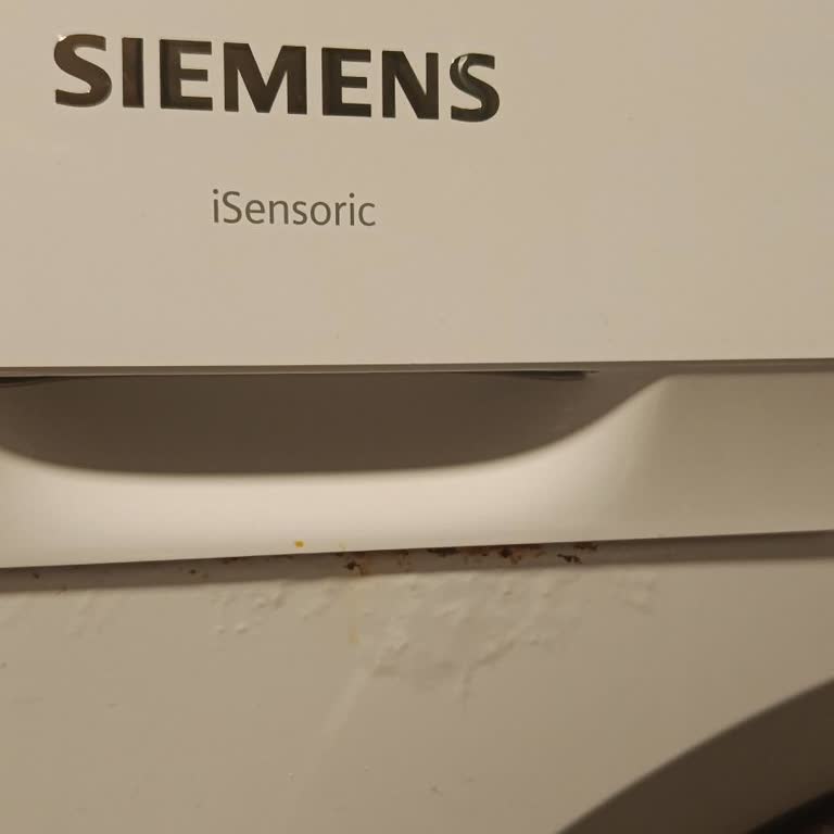 Siemens Çamaşır Makinesinde Kapak Ve Deterjan Bölümünde Paslanma Ve Çürüme, Garanti Dışı