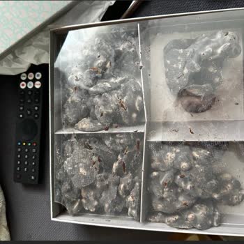 Çikolata Siparişinde Uzun Depolama Süresi Ve Erime Sorunu