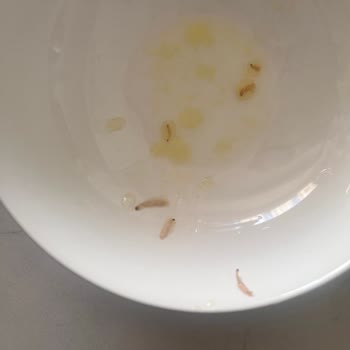Migros Sanal Market’te Bozulmuş Pirinç Ve Tekrarlanan Kalitesiz Ürün Sorunları