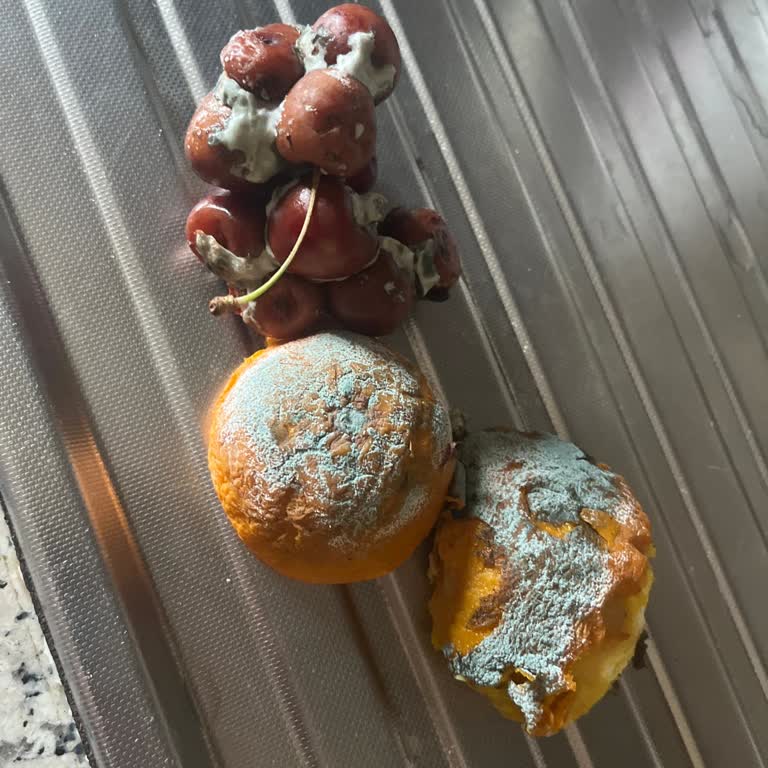 Vitafresh Çekmecelerinde Aşırı Nem Gıdaların Hızlı Bozulmasına Neden Oluyor