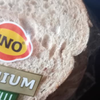 Uno Ekmek Böcekli