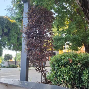 İki Görevliden Çelişkili Kapanış Bilgisi Ve Erken Kapatılan Kafe