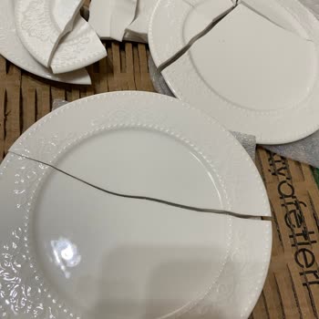 Kırık Tabaklar Ve 7/24 Müşteri Hizmeti Sorunu