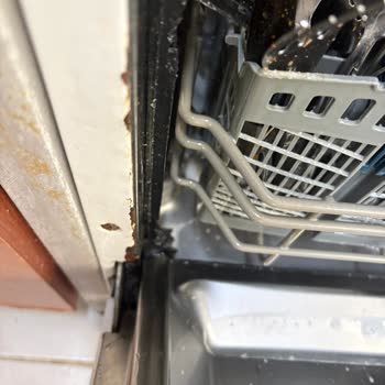 Samsung Bulaşık Makinesinde Yanık Kokusu, Sürekli Arızalar Ve Gerçekleşmeyen Garanti Uzatması