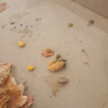 Domino's Pizza Şubesinde Yanlış Hazırlık Ve İçinden Çıkan Sert Cisim