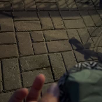 Kısa Sürede Yırtılan Monty Plaj Sandalyesi İçin Para İadesi Talebi