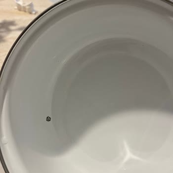 Sos Tavasının Kullanım Sonrası İç Yüzeyinde Soyulma Ve Kalite Sorunu