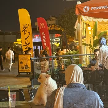 Dış Oturma Alanında Hijyen İhlali: Köpek Tuvaleti Masaya Dökülmesi Müşterileri Tiksindi