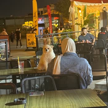 Dış Oturma Alanında Hijyen İhlali: Köpek Tuvaleti Masaya Dökülmesi Müşterileri Tiksindi
