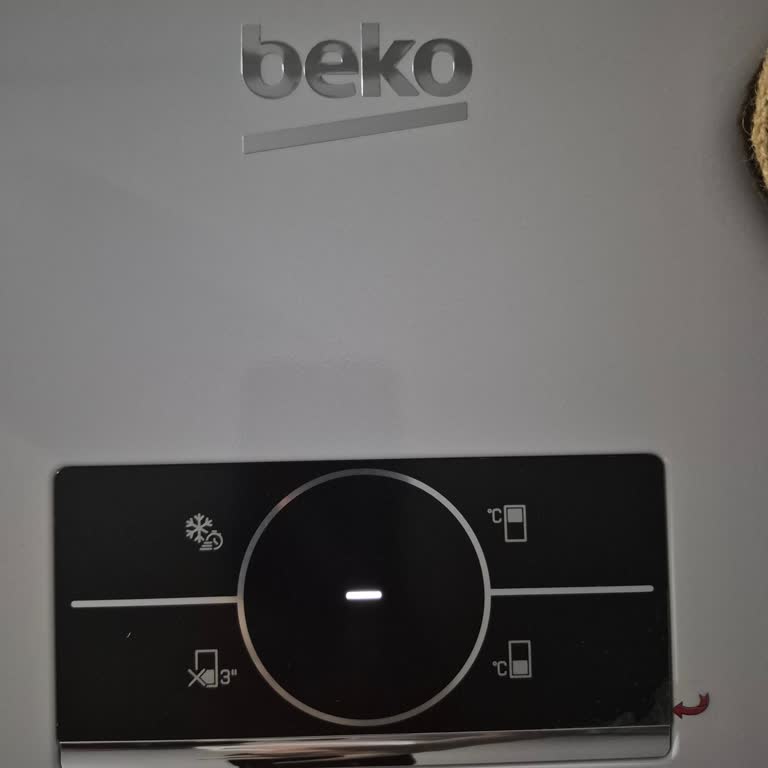 Beko Servisinin Kaba Davranışı Ve Ev Eşyalarına Verdiği Zarar