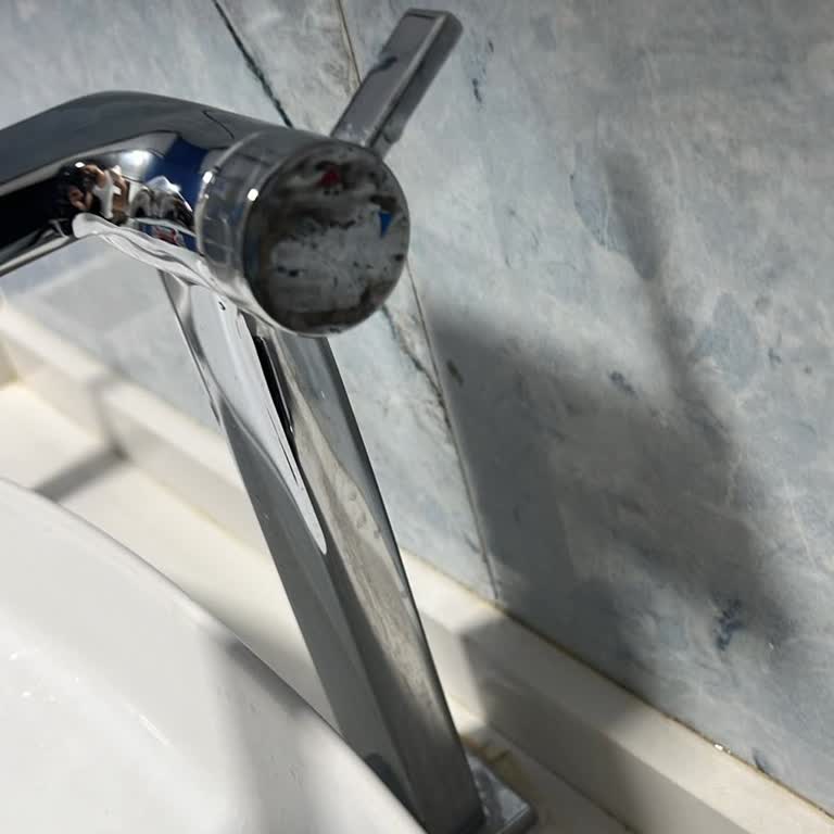 Kısa Sürede Paslanan Lavabo Bataryası Ve Yetkili Servisin Küfürlü Davranışı