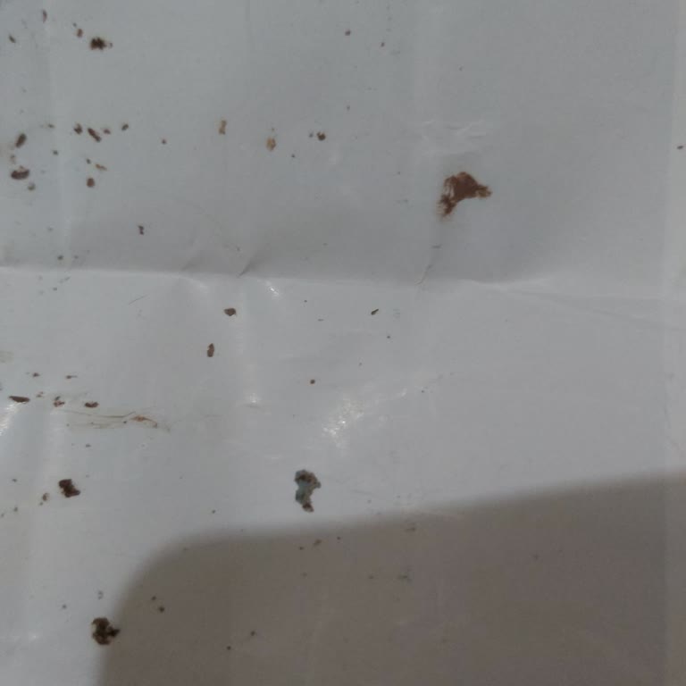 Plastik Parça Çıkan Migros Bitter Çikolatası Ve Sağlık Endişesi
