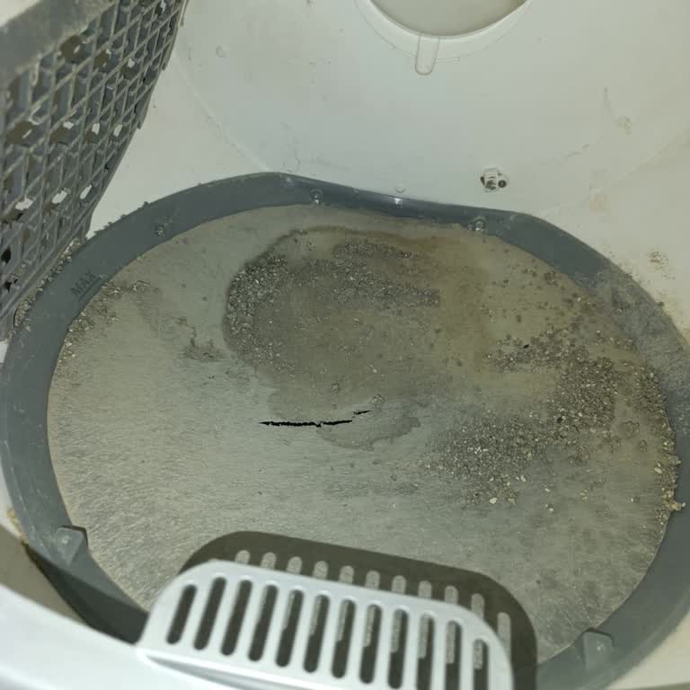 Kullanılamaz Hale Gelen Kiwi Otomatik Kedi Tuvaleti Ve Yedek Parça Eksikliği