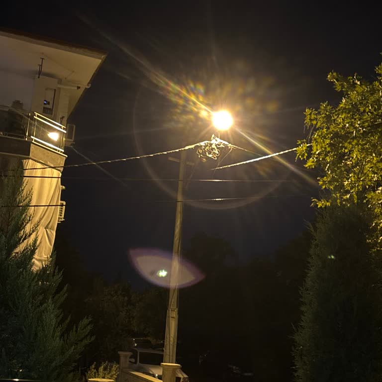 Sokak Lambasının Yanlış Açısı Evimi Gündüz Gibi Aydınlatıyor
