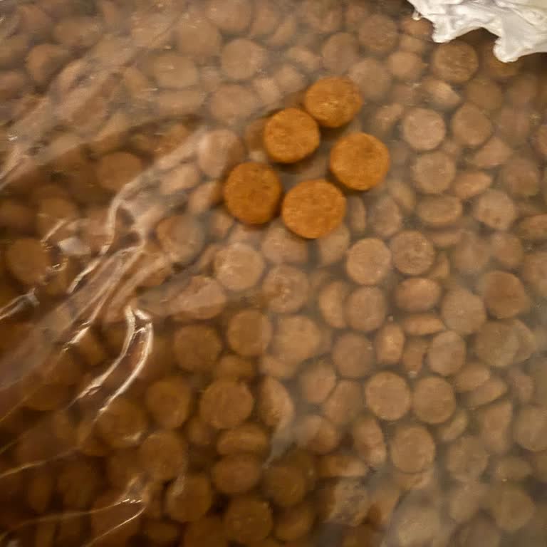 Orijinal Olmayan Paketli Royal Canin Kısır Kedi Maması Şikayeti