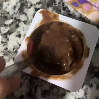 Sütaş Bozuk Küflü Puding