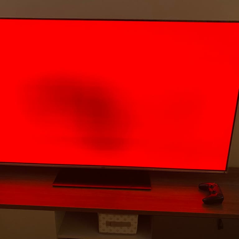 Vestel 65O9900 Televizyonumda Ekran Yanığı Sorunu