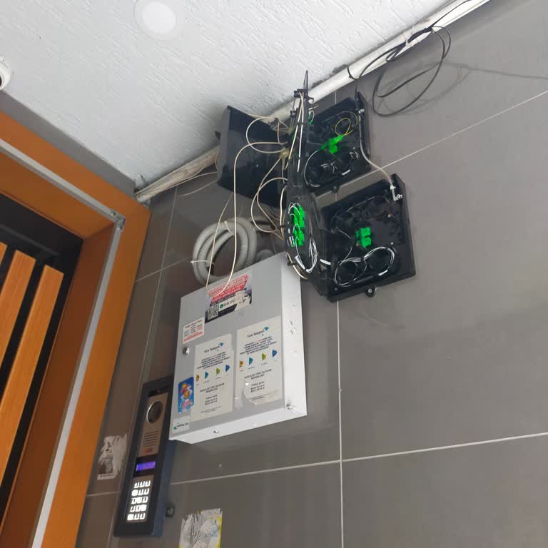 Kesintili İnternet Ve Dağınık Kutu Nedeniyle Sürekli Bağlantı Bozukluğu