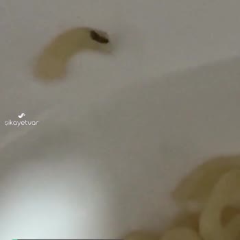 İndomie Noodlle'den Böcek Çıktı