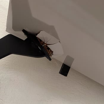 Konsol Alt Tabanı Çöktü, Mağaza Geri Dönüş Yapmıyor Ve Ücretsiz Onarım Talep Ediyor