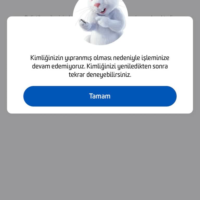 Yeni Kimliğimle İşlem Yapamıyor, Sistem Eski Kimliğimi Kullanıyor