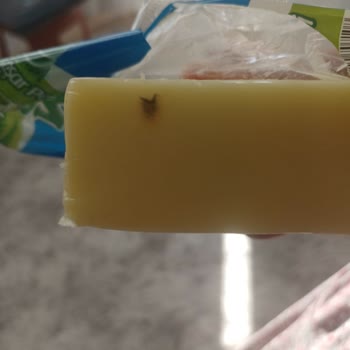Şok Markette Küflü Kaşar Peynirine Fişsiz Reddi Ve Telafi Talebi