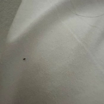 Labranda Bodrum Otel’de Hijyen Sorunları Ve Yetersiz Hizmet Nedeniyle İade Talebi