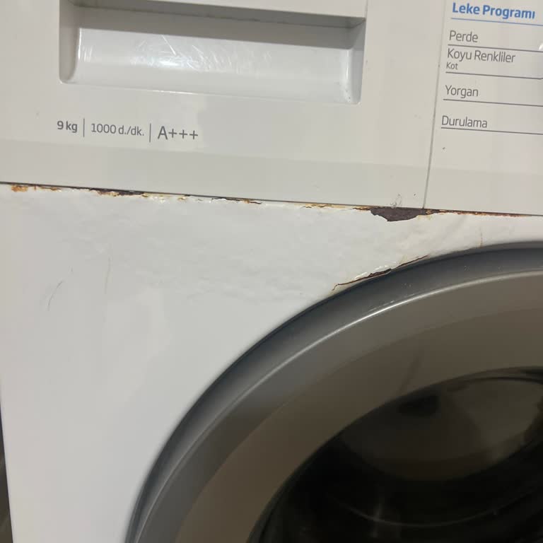 Beko Çamaşır Makinesinde Hızlı Paslanma Ve Boya Atması