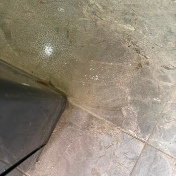 Kurye Paketi Ayağıyla Sürükleyerek Teslim Etti: Saygısız Davranış